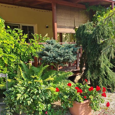 Apartament Malinowa Dolina Клодзко Екстериор снимка