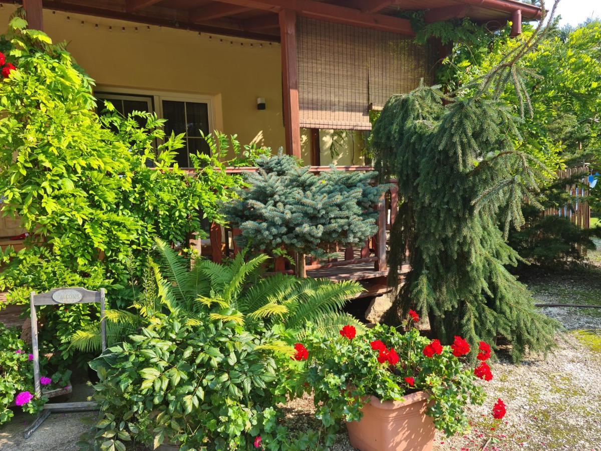 Apartament Malinowa Dolina Клодзко Екстериор снимка